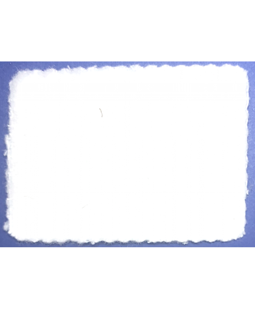 65.110.102 Войлок.